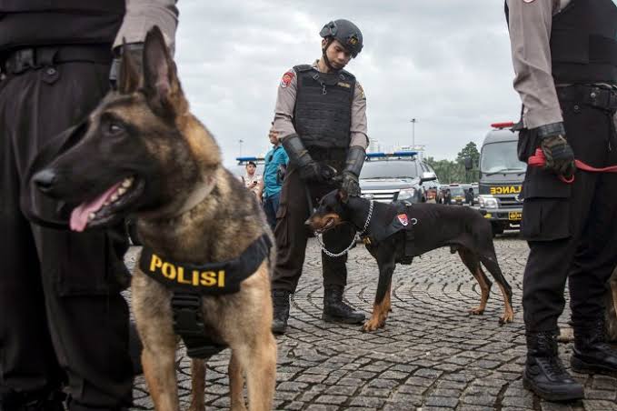 Polisi Jadikan K-9 Andalan Dalam Pengejaran Cai Ji Fan Terpidana Mati yg Kabur