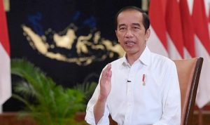 jokowi oke