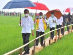 jokowi ke ntt