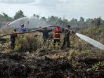 karhutla di sumsel beberapa waktu lalu